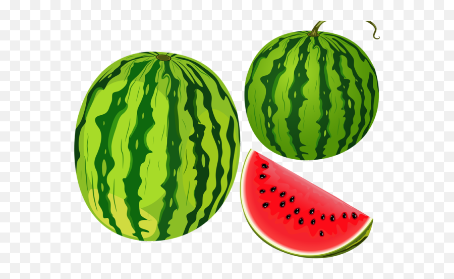 Cantaloupe Clipart Telugu - Transparent Oval Watermelon Clipart Watermelon Transparent Background Png,Cantaloupe Png