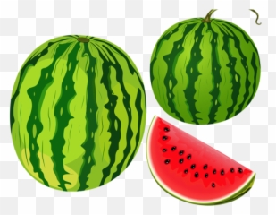 Cantaloupe Clipart Telugu - Transparent Oval Watermelon Clipart Watermelon Transparent Background Png,Cantaloupe Png