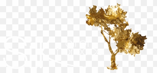 Logos - Silk Oil Of Morocco Argan Oil Png,Tree Logos