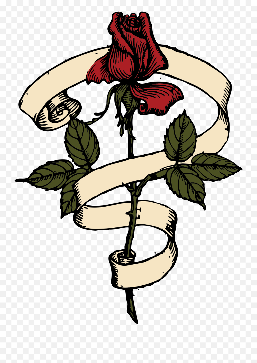 This Free Icons Png Design Of Rose Scroll - Clip Art Library Rose With Ribbon Around,Scrolls Icon