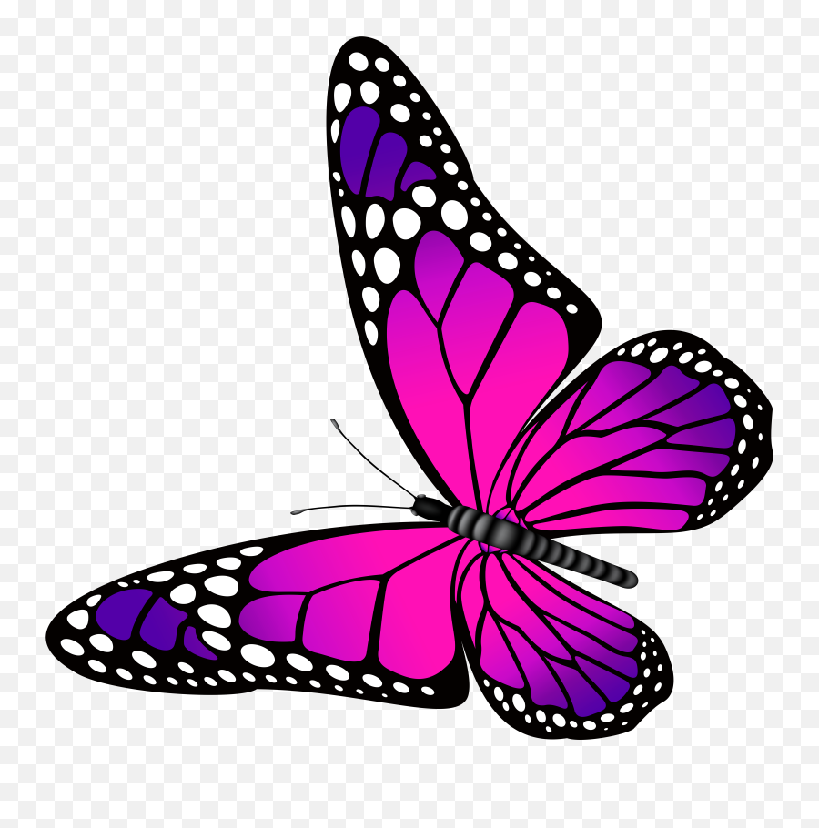 Butterfly Pink And Purple Transparent - Pink And Purple Butterfly Png,Butterfly Tattoo Png