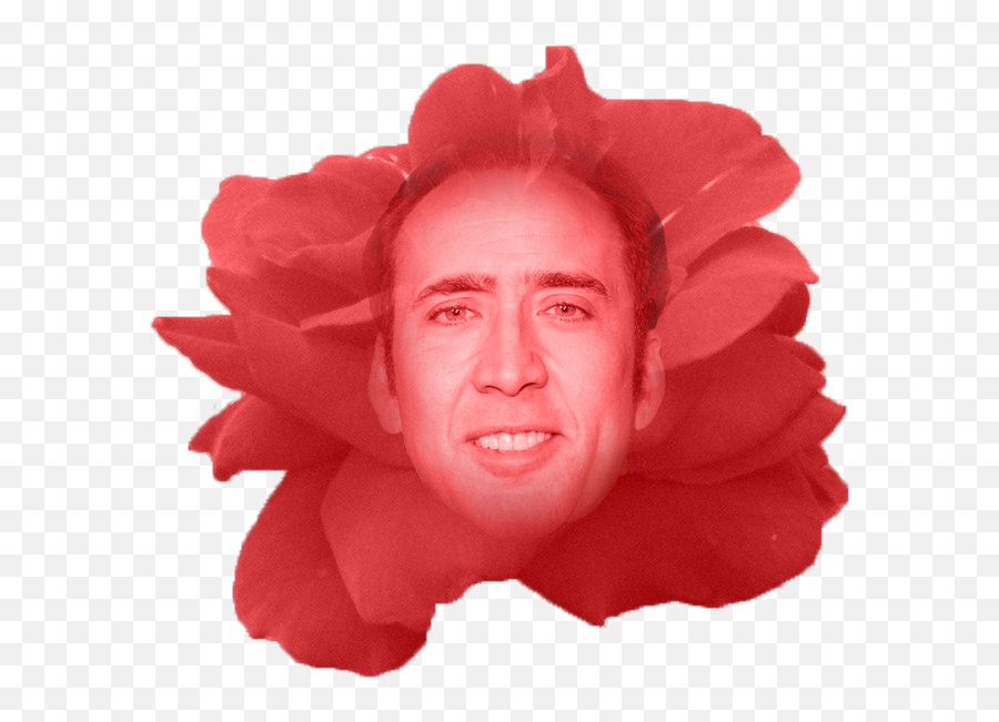 Nicolas Cage - Girl That Looks Like Nicholas Cage Png,Nicolas Cage Png