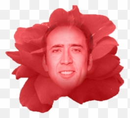 Nicolas Cage - Girl That Looks Like Nicholas Cage Png,Nicolas Cage Png