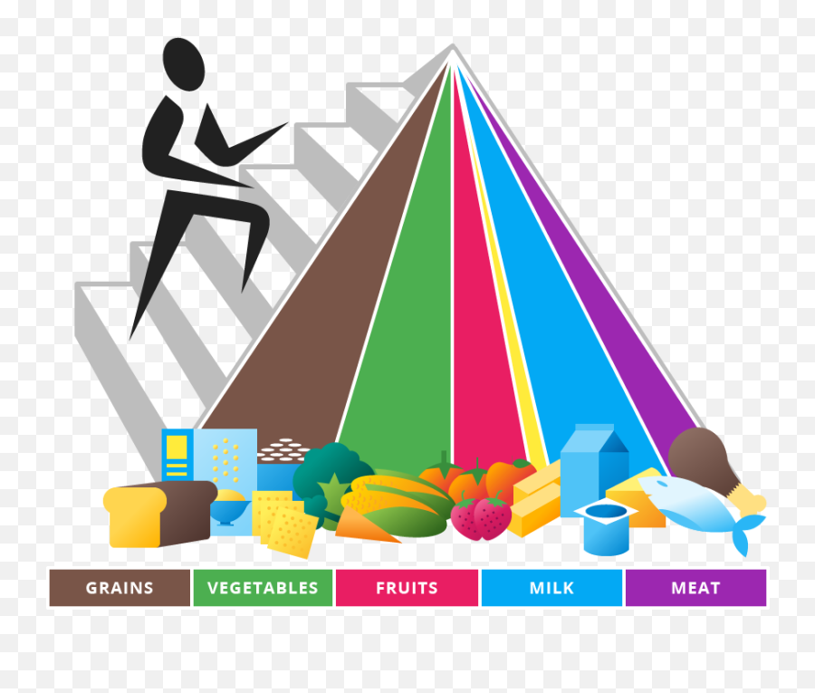 Evolution Of The Usda Food Guide - New Food Pyramid Png,Food Pyramid Png