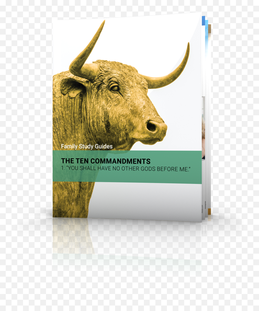 The Ten Commandments First Commandment United Church - Bull Png,Ten Commandments Png