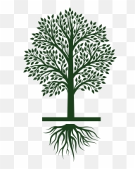 Cycle Icon Png - Growth Life Cycle Icon Set Eight Limbs Of Tree Growing Clip Art