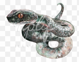 Uplift Illustrations Png Slytherin