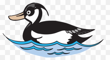 Goose Clipart Amelia Transparent Free For - Duck Swim Clipart Png,Goose Png