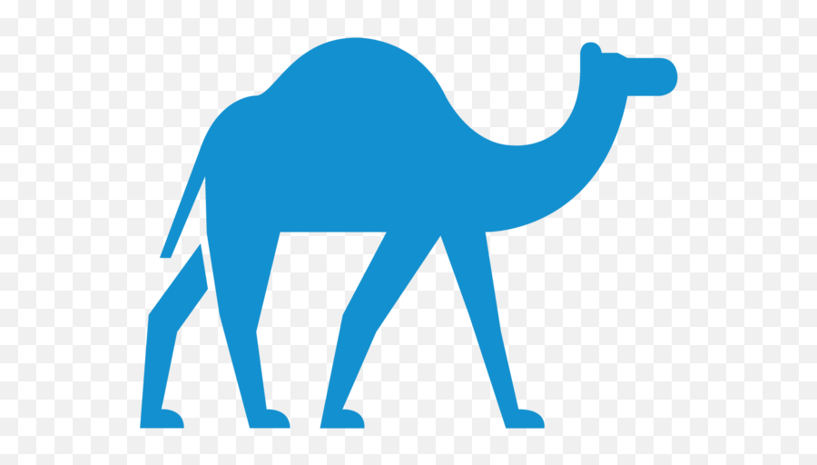 Our Work In Afar U2014 Friendship Support Association - Camel Breeds Png,Camel Transparent