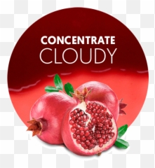 Pomegranate Juice Nfc - Pomegranate Good For Woman Png,Pomegranate Png