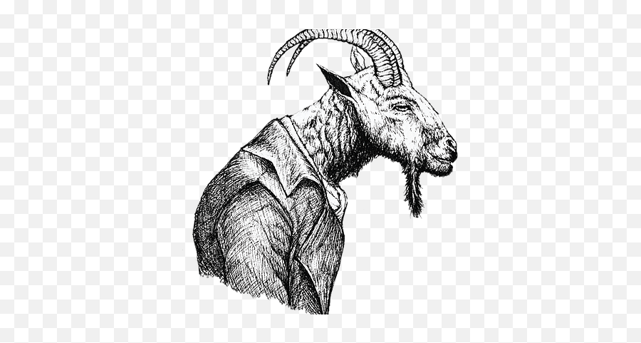The Pushy Goat Massage Skincare Home Page - Sketch Png,Goat Transparent