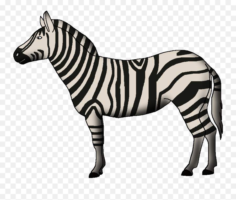 Wildlife Animal Pedia Wiki - Zebra Png,Zebra Png