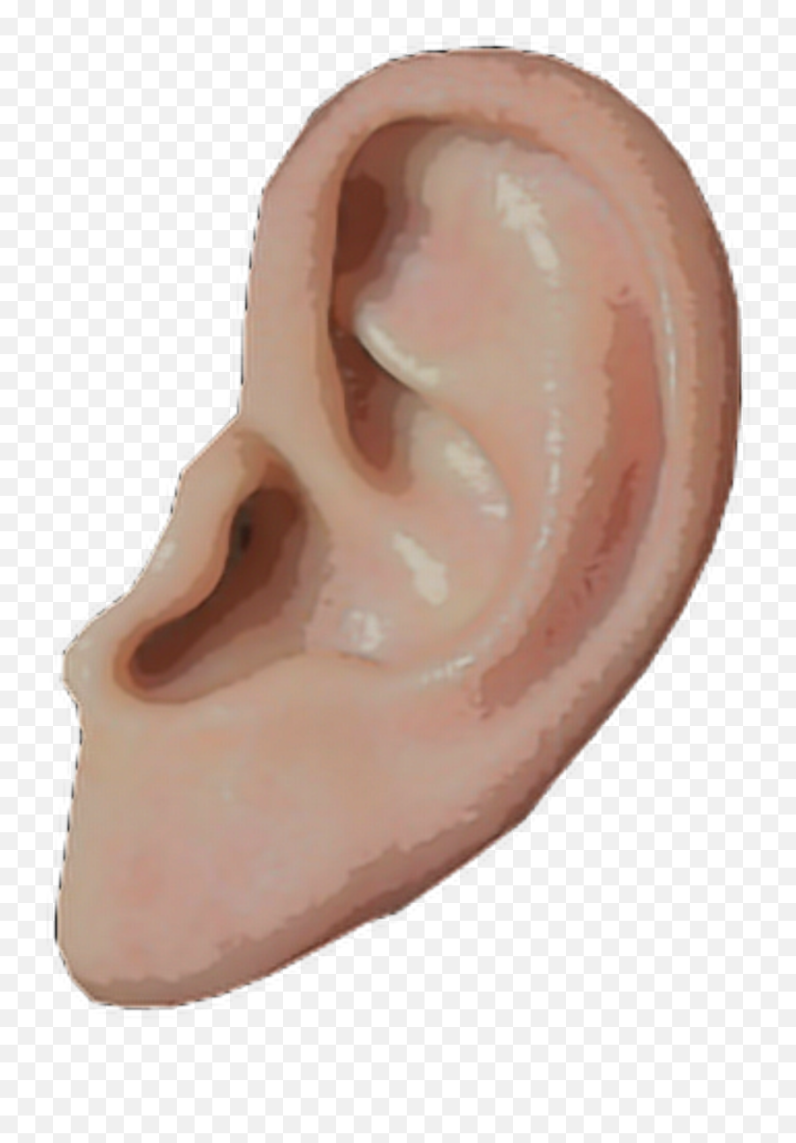 Art Aesthetic Vaporwave Pngs Sticker - Transparent Background Ear Png,Vaporwave Pngs