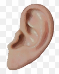 Art Aesthetic Vaporwave Pngs Sticker - Transparent Background Ear