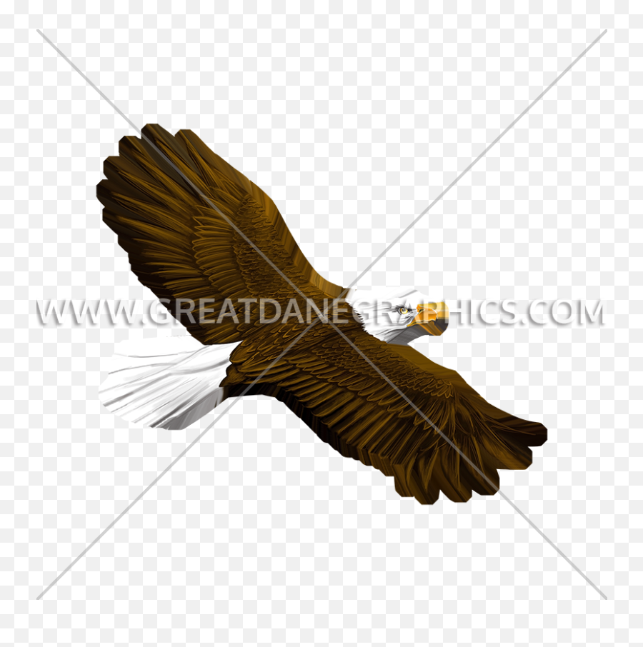 Eagle Flying Production Ready Artwork For T - Shirt Printing Condor Png,Eagle Flying Png
