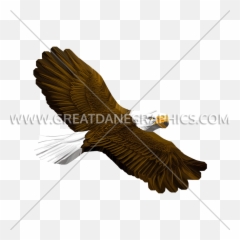 Eagle Flying Production Ready Artwork For T - Shirt Printing Condor png
