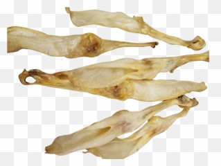Rabbit Ears 500g - Bone png
