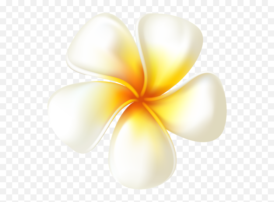 Plumeria Flower Transparent Png Clip - Transparent Background Frangipani Png,Plumeria Png