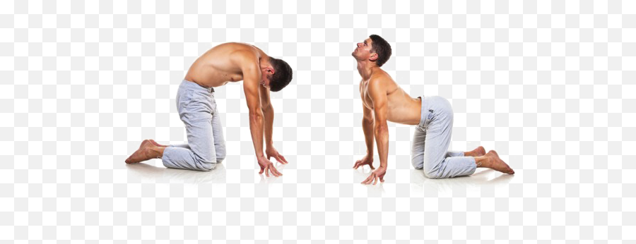 Yoga Man Png Hd Mart - Stretches For Back Spasms,Muscle Man Png