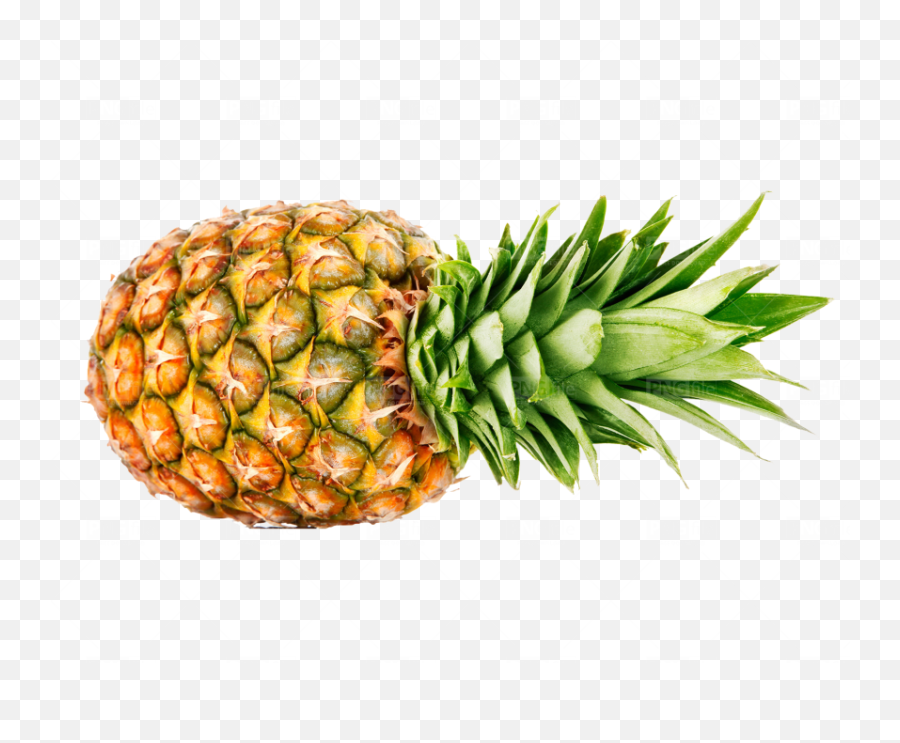 Pineapple Png Free Download - Photo 303 Pngfilenet,Pineapple Png