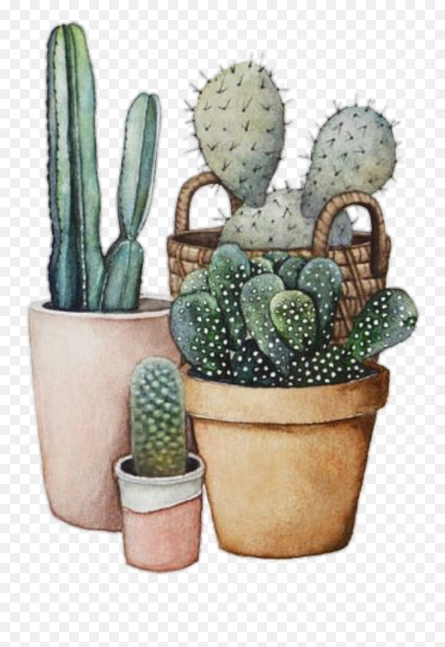 Cacti Tumblr Plant Drawing Friends Plants Are - Watercolor Succulents In Cup Png,Tumblr Cactus Png
