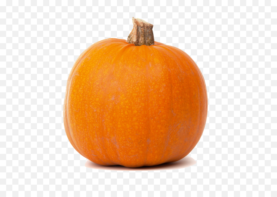 Download Real Pumpkin Transparent Png - Pumpkin Clipart Pumpkin With No Background,Pumpkin Clipart Png