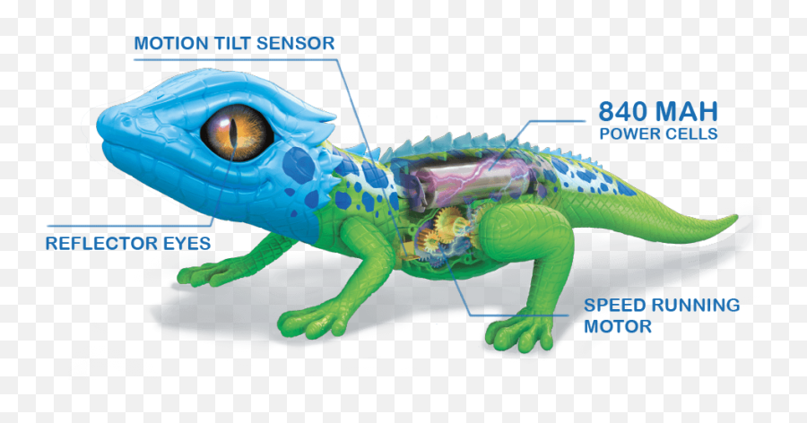 Download Hd 14 Real - Life Pets Robot Lizard Transparent Png,Lizard Transparent