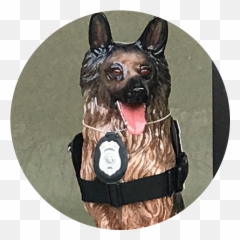 Paws - Dog Clothes Png,Alpha Icon Dog Clothes