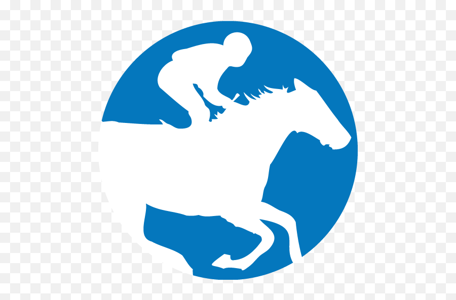 Marcus Tregoning Racing Racehorse Trainer Based - Equitation Png,Racehorse Icon