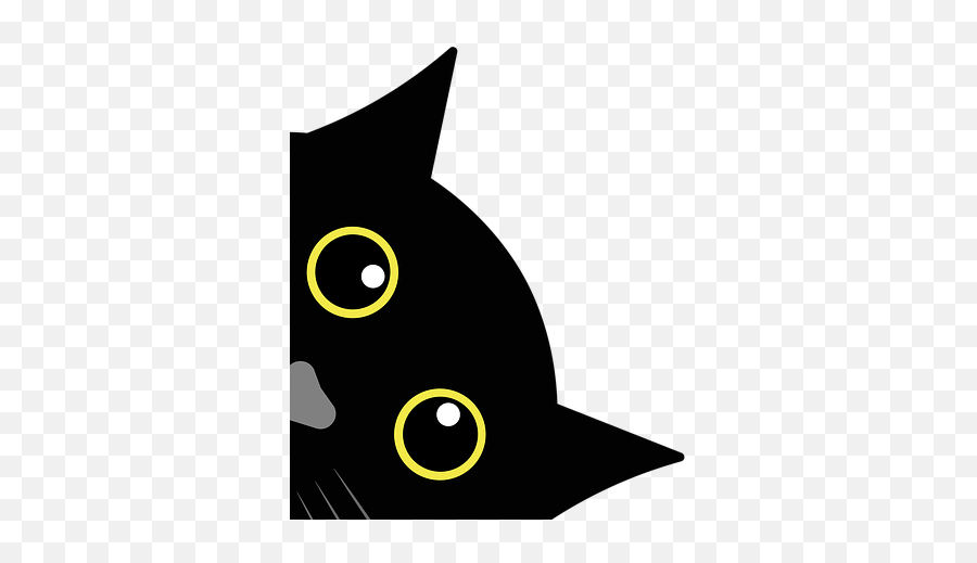 Black Cat Is Curious - Black Cat Illustration Png,Black Cat Png