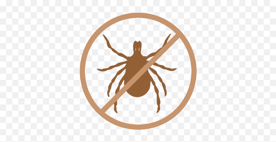 Anti - Parasite Bogar No Alcohol Clipart Transparent Background Png,Anti Tick Icon