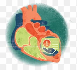 Cardiomyopathy Medical Journeys Medpage Today - Heart png