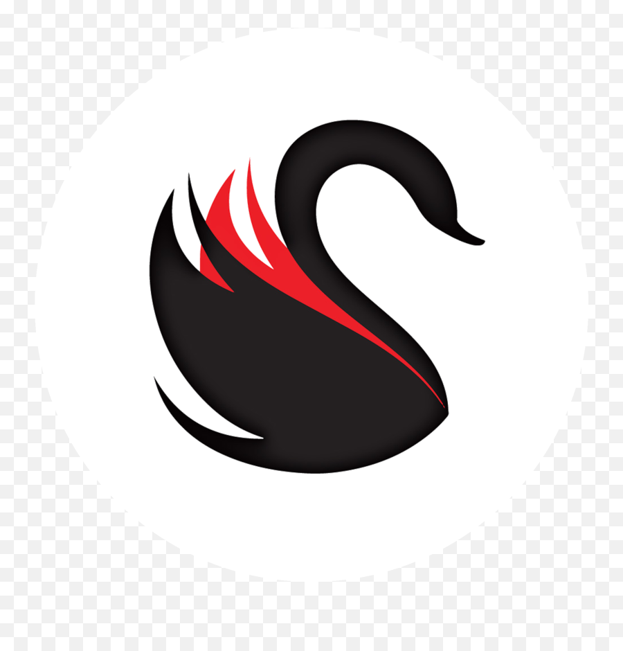 Black Swan Png Icon