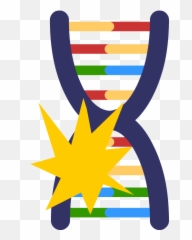 Genetic Mutations - Png Clipart Full Size