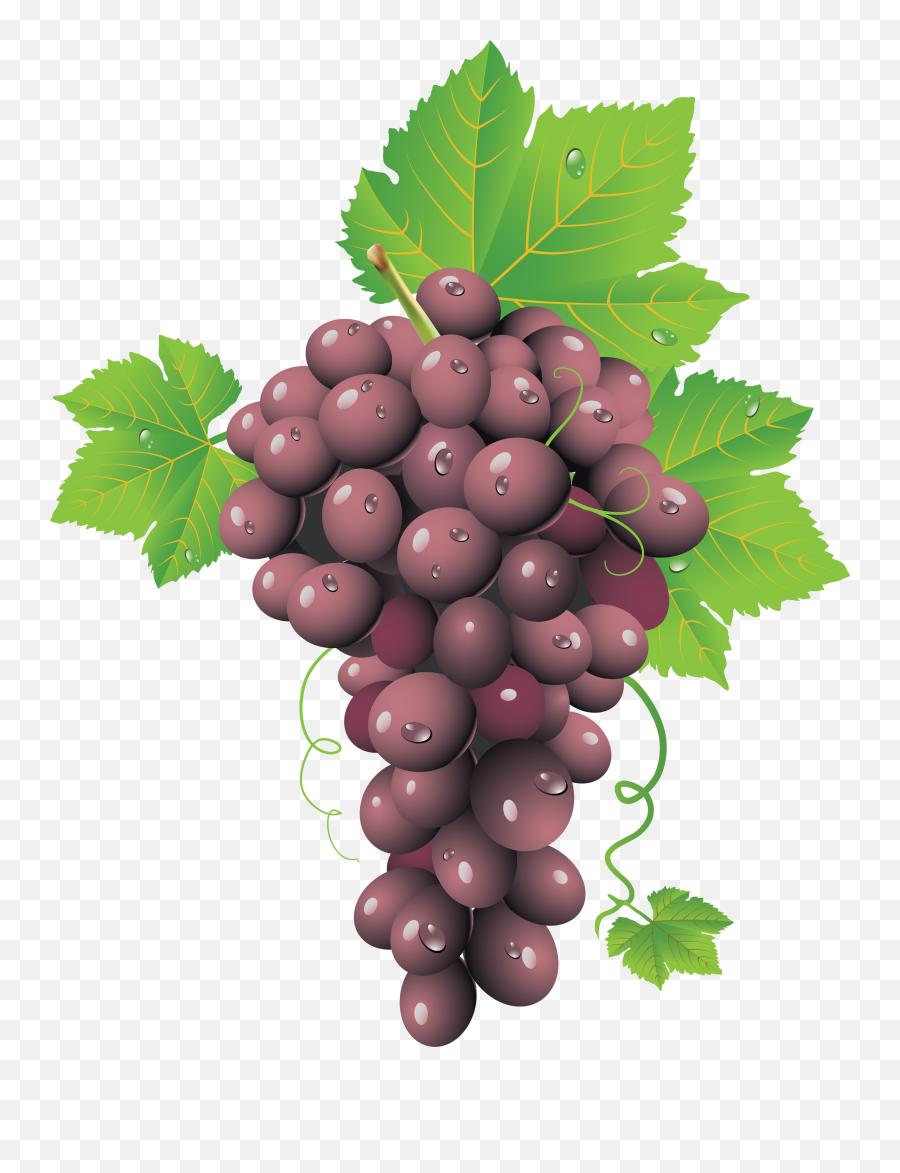 Grapes Png Image - Grape Seed,Grapes Png