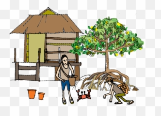 Download Watch This Video To See The Huge Benefits Mangrove - Mangrove Png,Mangrove Png