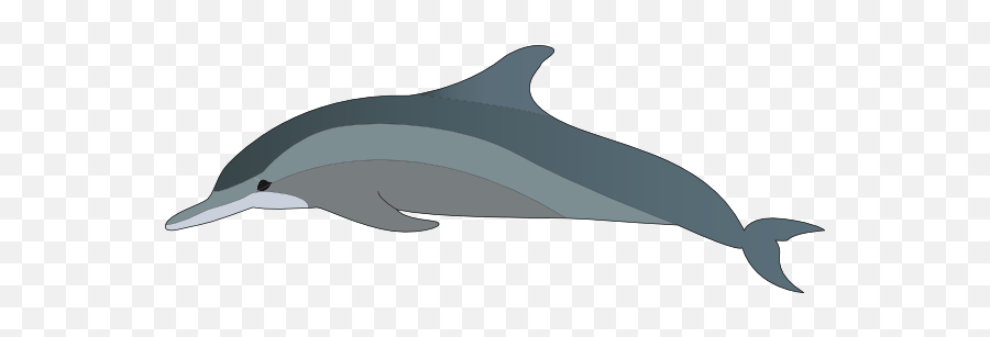 Dolphin Clip Art - Vector Clip Art Online Clipart Png Dolphin,Dolphin Clipart Png