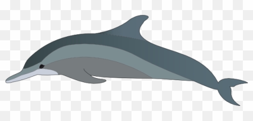 Dolphin Clip Art - Vector Clip Art Online Clipart Png Dolphin,Dolphin Clipart Png