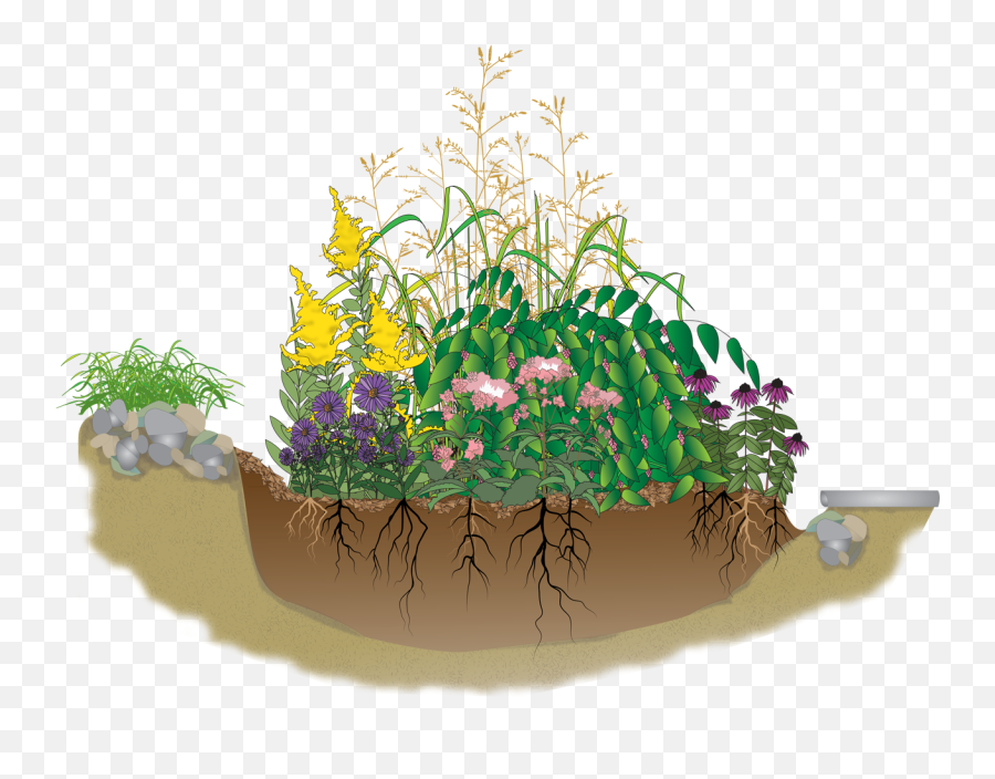 Gardener Clipart Container Gardening - Rain Garden Clip Art Png,Flower Bed Png