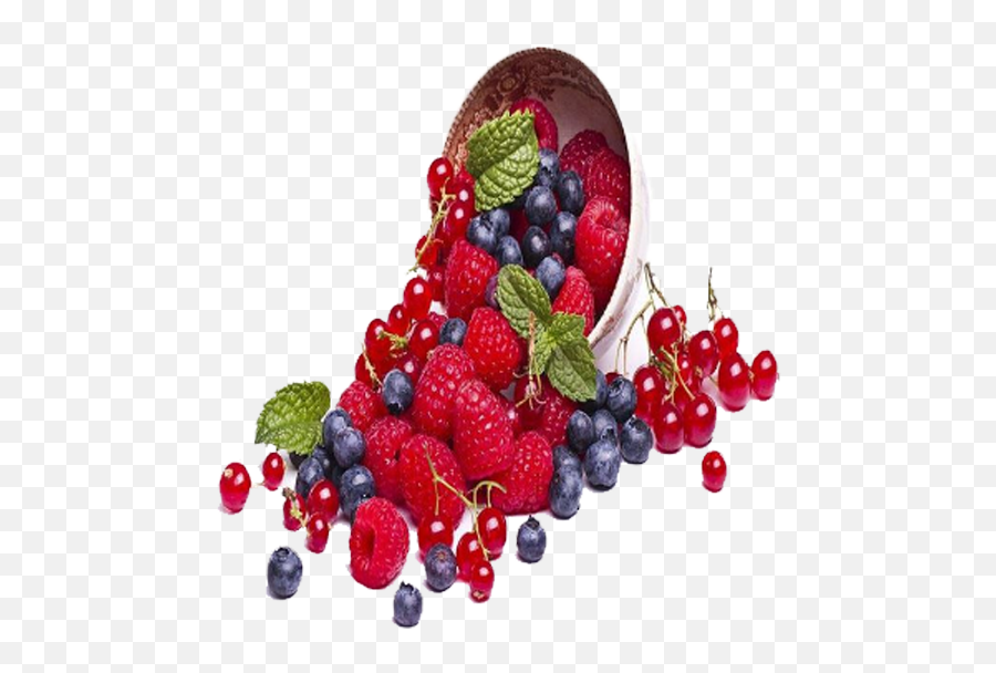 Rostaa Std Pouch - Mix Berries Buy Berries Online Mix Fruit Berry Png,Berries Png