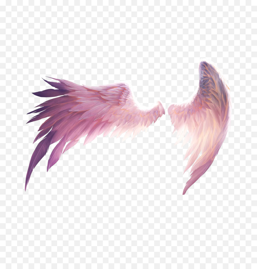 Wings - Pink Angel Wings Art Png,Wing Png