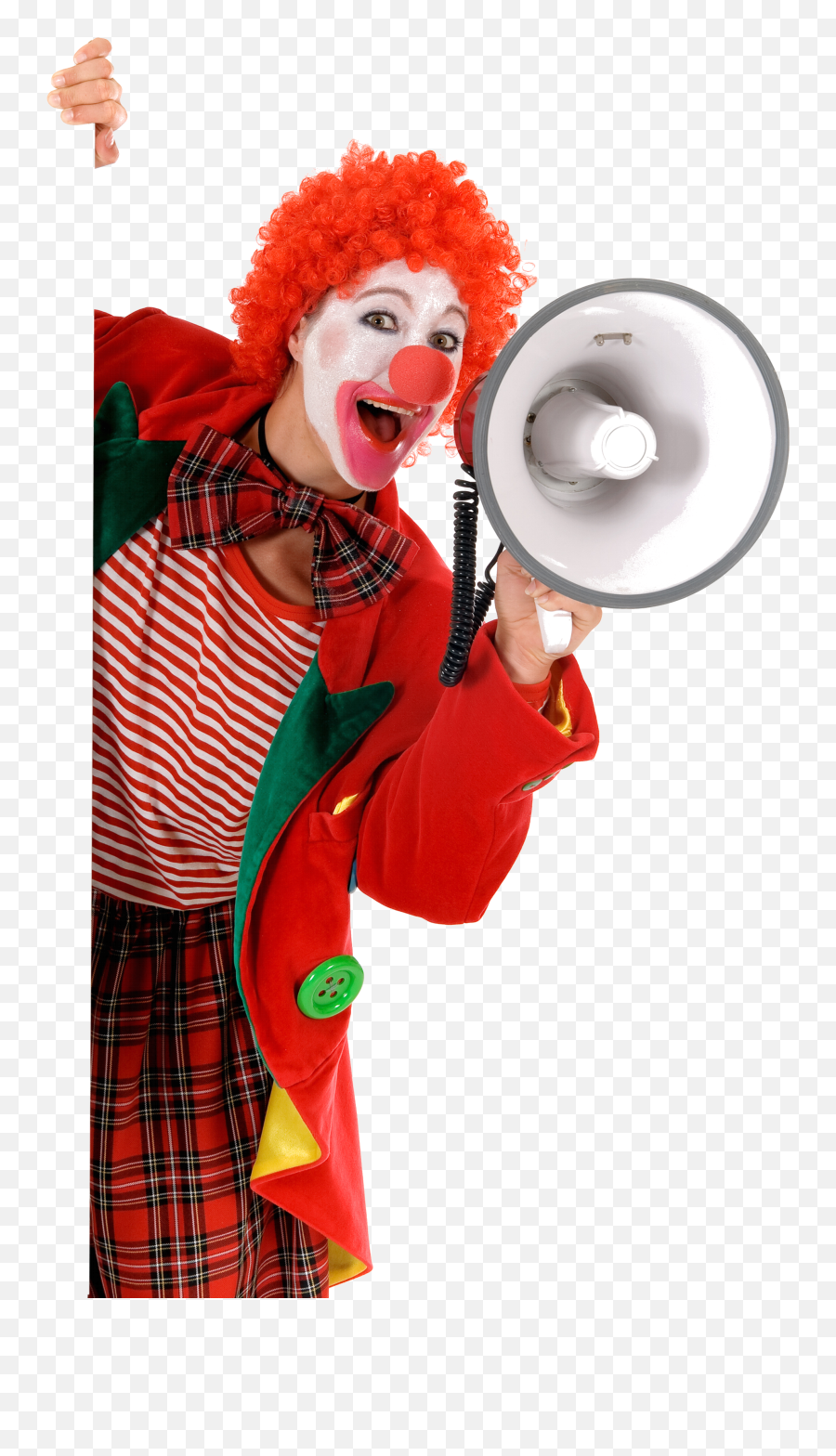 Clown Png Image For Free Download - Female Holiday Clown,Clown Hair Png