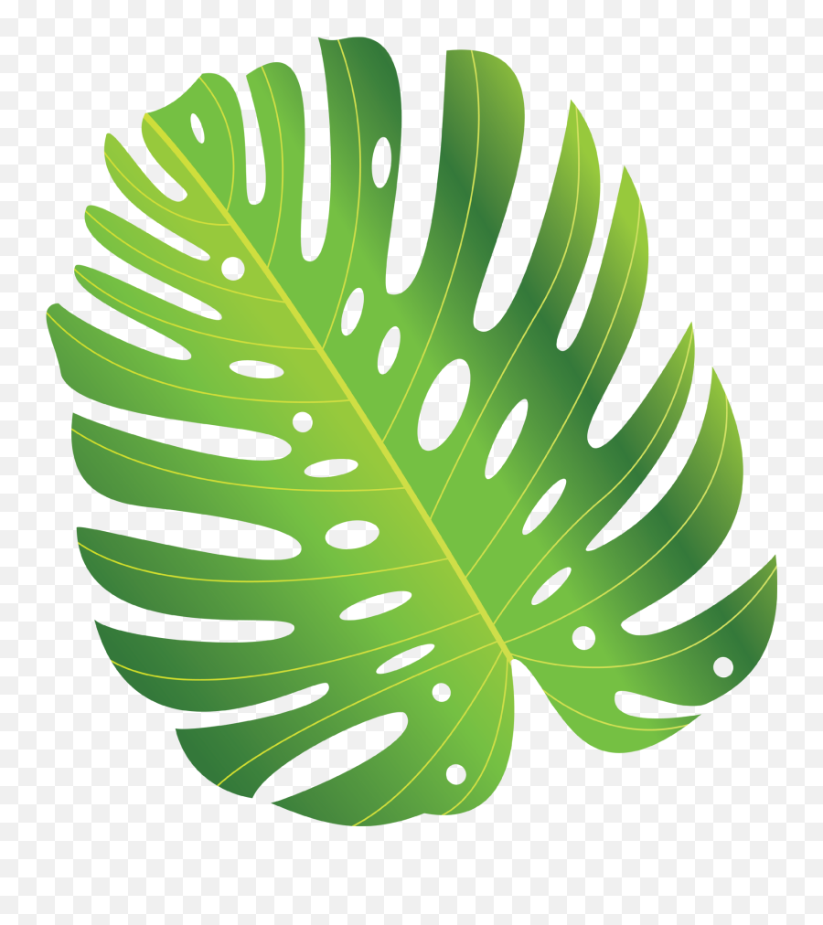 Green Tropical Leave Png Free Download - Photo 508 Illustration,Monstera Leaf Png