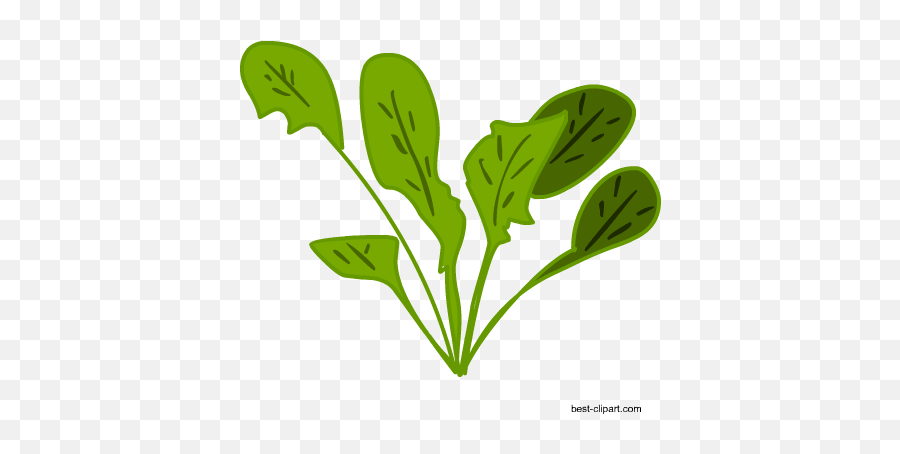 Free Vagetables Clip Art - Clip Art Png,Spinach Png