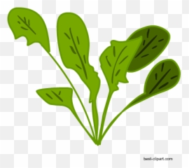 Free Vagetables Clip Art - Clip Art Png,Spinach Png