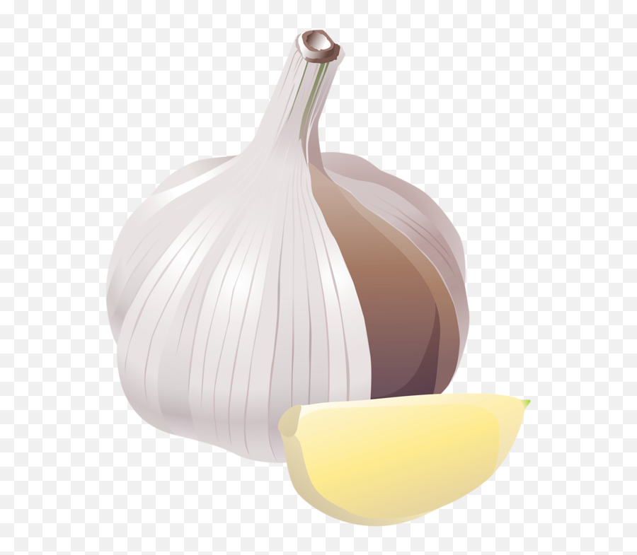 Hd Comida Temperos Transparent Cartoon - Jingfm Elephant Garlic Png,Comida Png