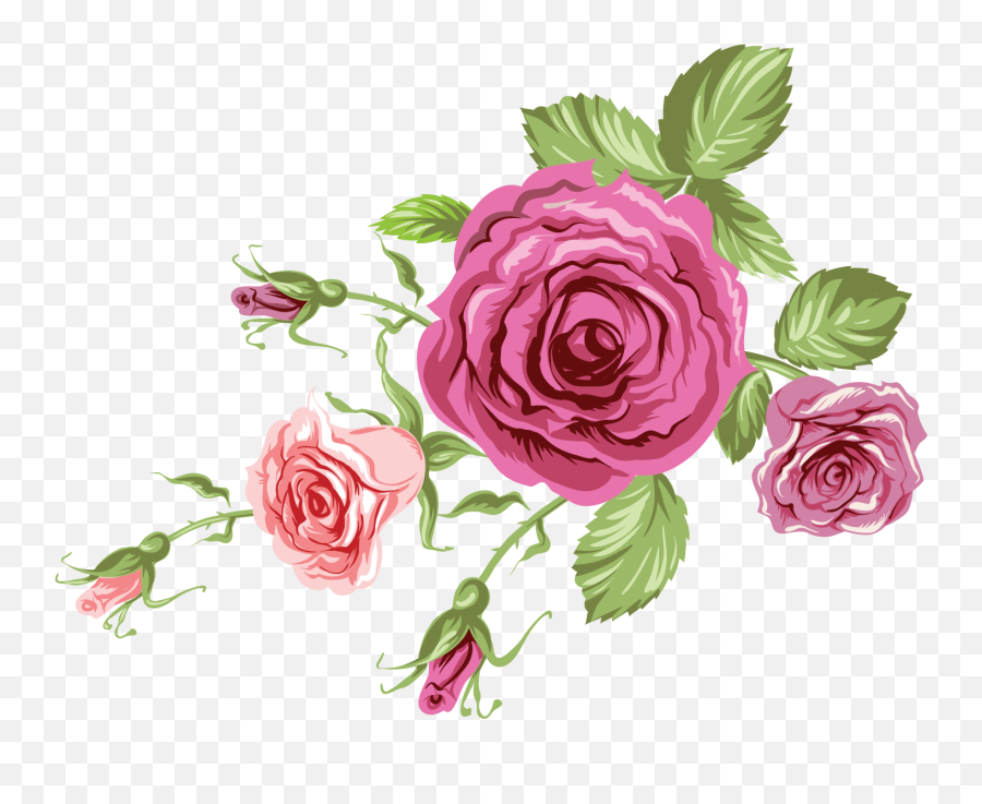 Free Png Rose - Konfest Floribunda,Rose Flower Png