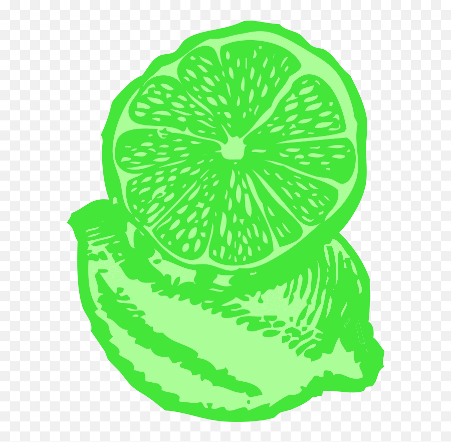 Download Free Png Limes - Lemon Illustration Png,Limes Png