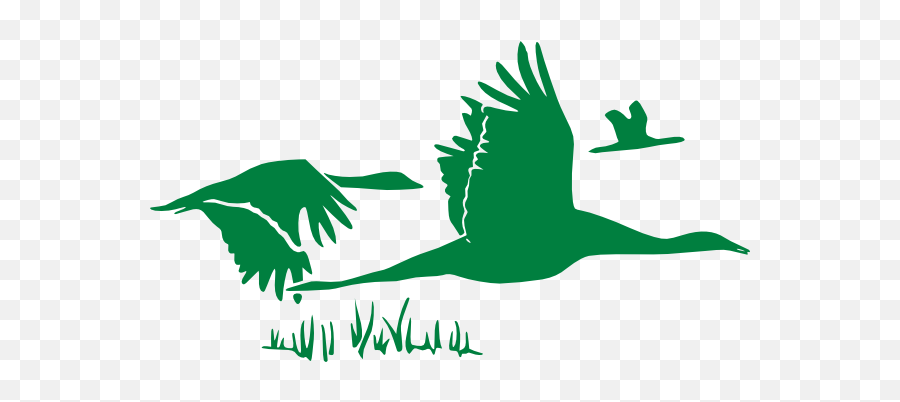 Green Geese Png Clip Arts For Web - Clip Arts Free Png Flying Geese,Geese Png
