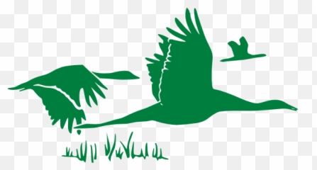 Green Geese Png Clip Arts For Web - Clip Arts Free Png Flying Geese,Geese Png